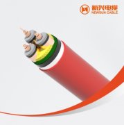 防白蚁1级、交联聚乙烯绝缘聚氯乙烯护套